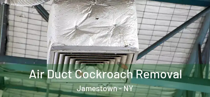 Air Duct Cockroach Removal Jamestown - NY