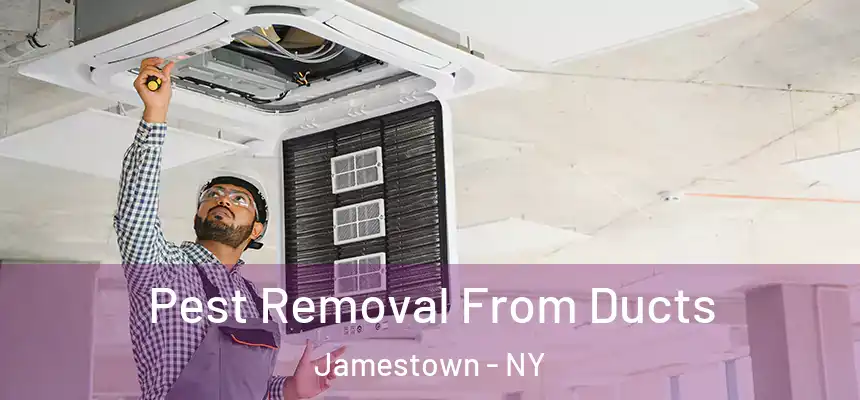 Pest Removal From Ducts Jamestown - NY