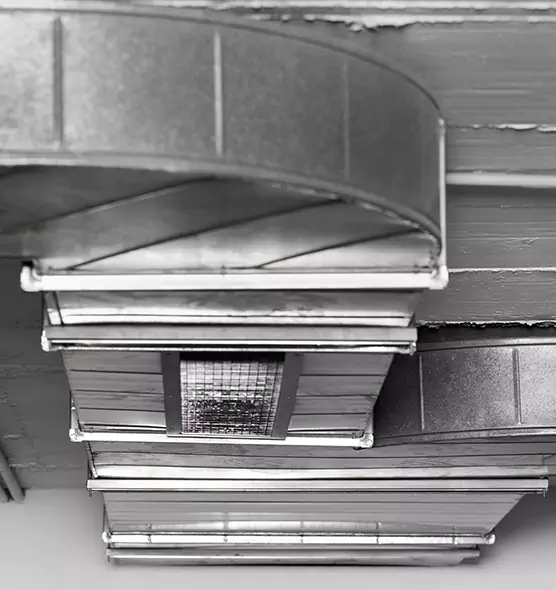 Professional Air Duct Pest Removal in Jamestown, NY