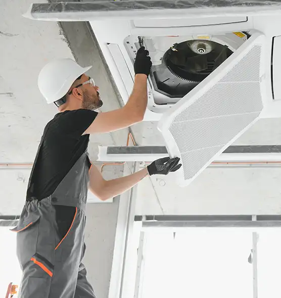 About Air Duct Rodent Removal in Jamestown, NY