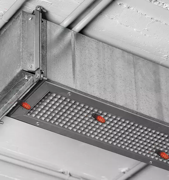 Affordable Insect Removal from Air Ducts in Jamestown, NY