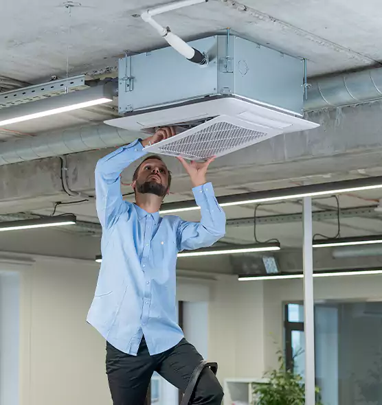 Advanced Rodent Droppings In Vents in Jamestown, NY