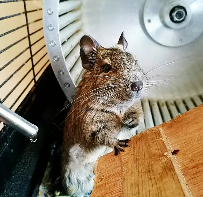 Why Homeowners & Businesses Trust Us Jamestown, NY?