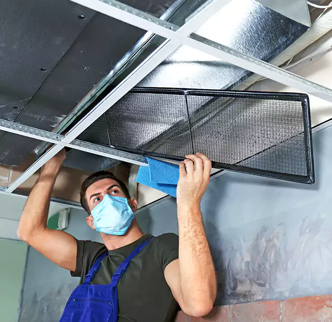 Why Homeowners Businesses Trust Us in Jamestown, NY